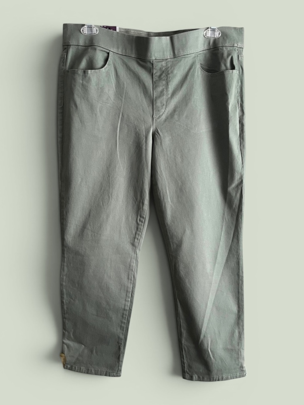 Gloria Vanderbilt Sage Green Mid-Rise Pull On Crop Pants Size 14 NWT